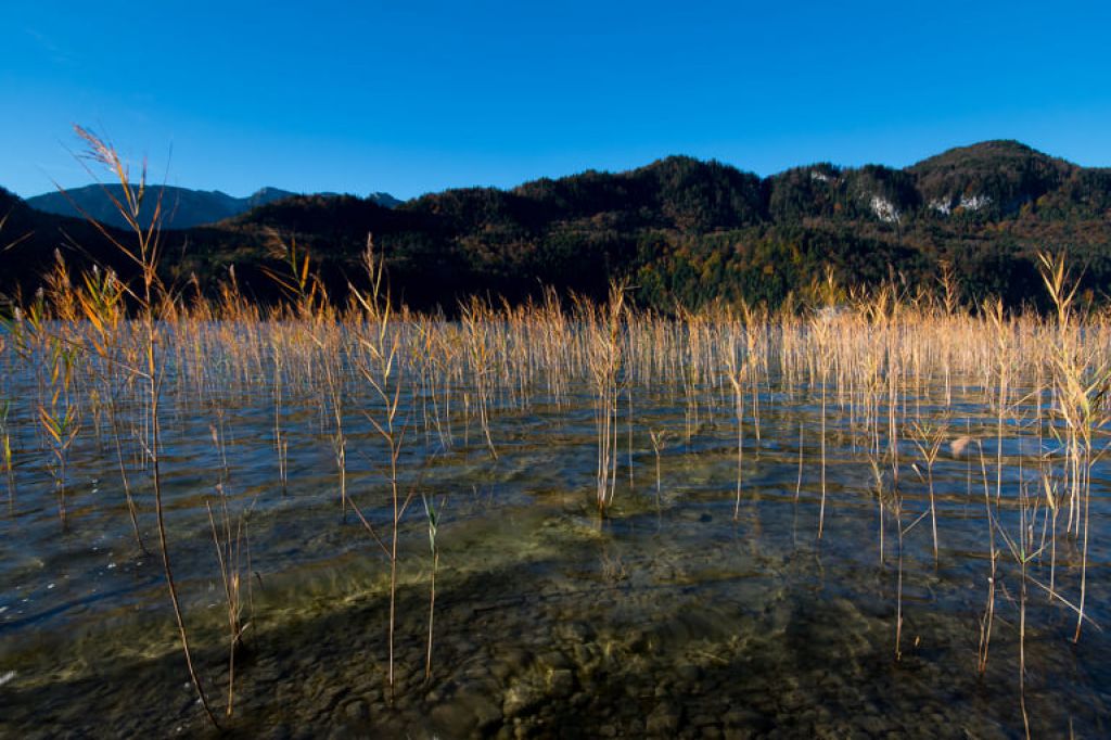 Der Weißensee - Natur pur am Weißensee. - © Loc Hoang